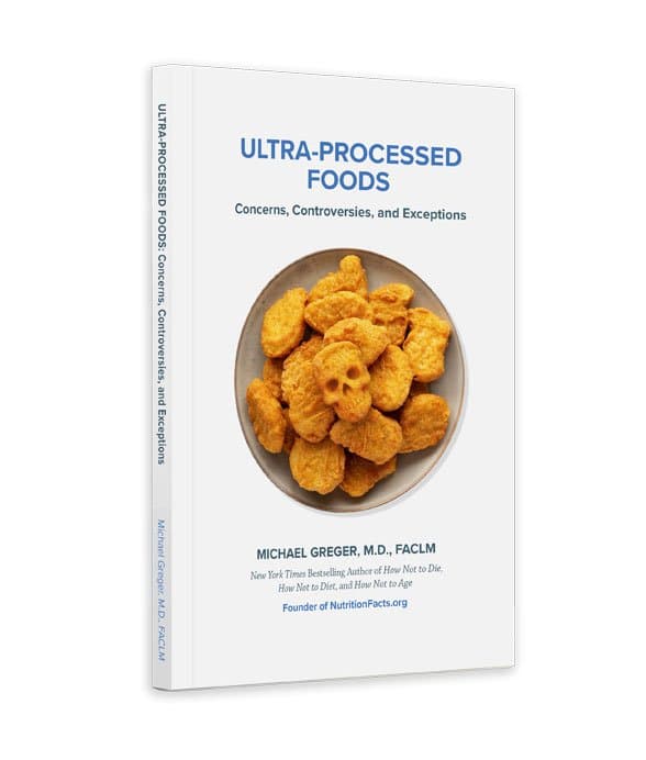 Picture of Ultra-Processed Foods: Concerns, Controversies, and Exceptions